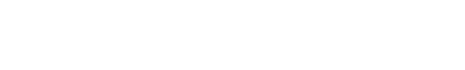 MGMT Core